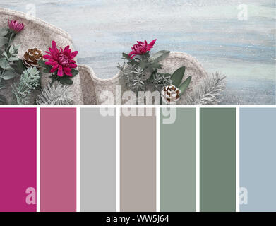Farblich passende Palette von Blumen winter Hintergrund mit Tannen Zweigen und Burgund chrysantheme Blumen Stockfoto
