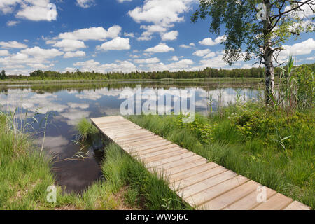 Moor Wurzacher Ried, Bad Wurzach, Oberschwaben, Baden-Württemberg, Deutschland Stockfoto