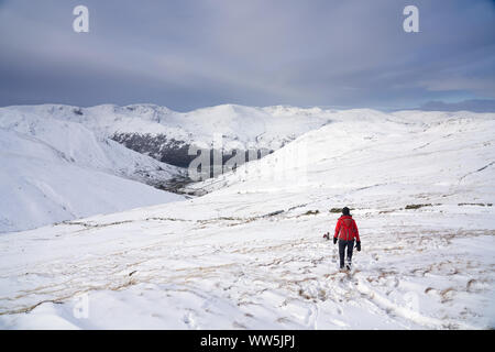 Ein Wanderer zu Fuß nach unten in Richtung Hayeswater Gill in der Nähe von hartsop mit den Gipfeln von Fairfield und Hart-Klettergarten in der Ferne im Lake District. Stockfoto