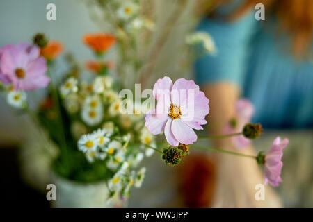 Bouquet von wilden Blumen.Rosa zarten Blütenblätter. Makro. Einfacher Lebensstil. Stockfoto