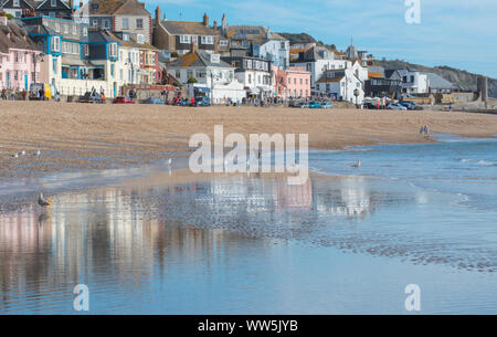 Lyme Regis, Dorset, Großbritannien. 13. September 2019. UK Wetter: eine glorreiche sunnny Tag in den Badeort Lyme Regis. Warmes und sonniges Wetter für das Wochenende als der Südküste Prognose genießt eine Indian Summer und eine Rückkehr der Hitzewelle. Credit: Celia McMahon/Alamy Leben Nachrichten. Stockfoto