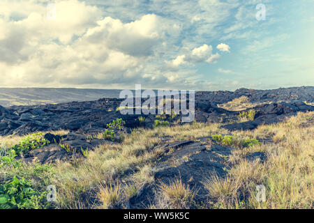 Die Lavafelder, Volcanoes National Park, Big Island, Hawaii, USA Stockfoto