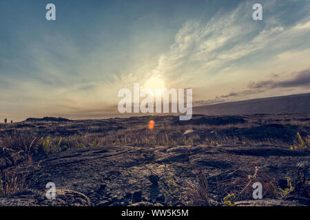 Die Lavafelder, Volcanoes National Park, Big Island, Hawaii, USA Stockfoto