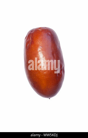 Jujube, Ziziphus jujuba, Studio geschossen von braun gefärbte Früchte. Stockfoto