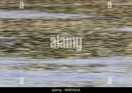 Wasser Oberfläche, Struktur mit Seerosen Blätter Stockfoto