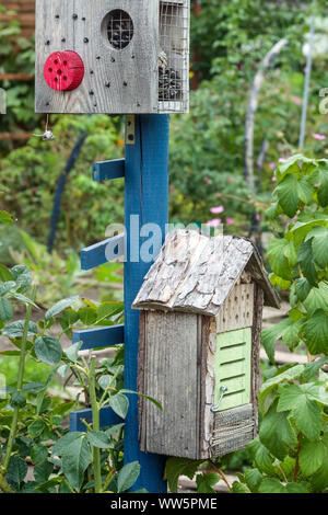 Zwei kleine Insektenhotels in einem Garten Stockfoto