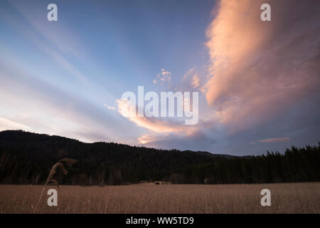 Abend cloud Stimmung über dem Schilf Landschaft der Barmsee, mit der kleinen Bauern Hütte und den Wald. Stockfoto