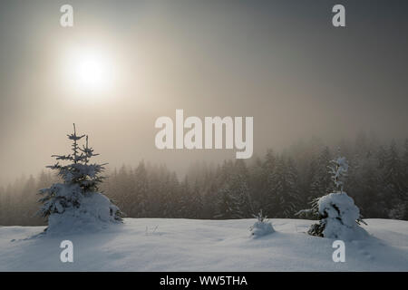 Nebliger Sonnenaufgang im winterlichen alpinen Landschaft. Im Vordergrund Bäume, im Hintergrund schneebedeckte Nadelwald und die Sonne im Nebel steigt. Stockfoto