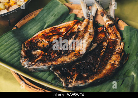 Beliebte philippinische Gericht Zwei gegrillte milchfisch von aromatischen Banana leaf während der Feier. Milchfisch auch bekannt als Bangus in den Philippinen ist ein sehr Stockfoto