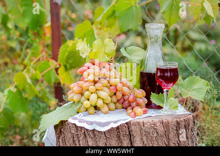 Anordnung im Garten mit grünen und blauen Trauben, ein Glas Rotwein trinken und eine Flasche. Stillleben mit Obst. Stockfoto