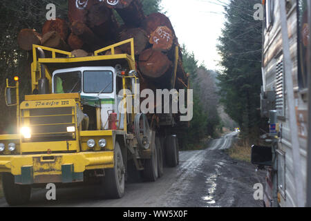 Logging Truck (langholz Transporter) mit Amtsleitungen in einem Logging Road, in der Nähe von Cape Scott Provincial Park, British Columbia, Kanada Stockfoto