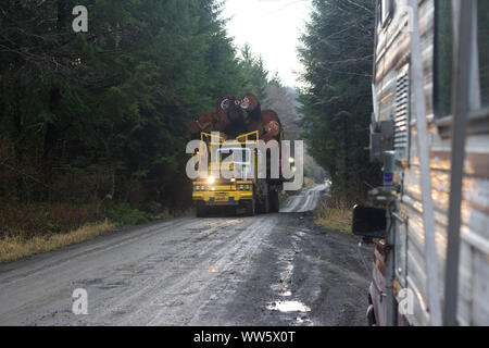 Logging Truck (langholz Transporter) mit Amtsleitungen in einem Logging Road, in der Nähe von Cape Scott Provincial Park, British Columbia, Kanada Stockfoto