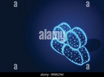 Personen / Person gemeinschaftlichen Begriff, abstrakte Low Poly Designs, von Linie und Punkt Drahtmodell, Vektor, Abbildung Stock Vektor