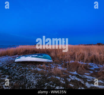 Reed am Ufer in Frost und Vollmond, Rügen, Mecklenburg-Vorpommern, Deutschland Stockfoto