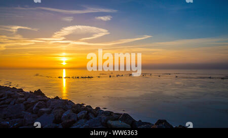 Schwäne im Sonnenuntergang auf dem icebound Bodden, Ostsee, Rügen, Mecklenburg-Vorpommern, Deutschland Stockfoto