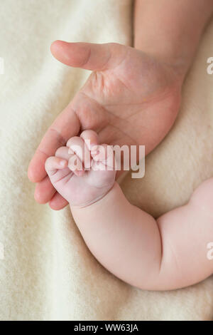 Hände von Mutter und Baby, Detail Stockfoto