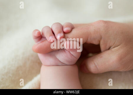 Hände von Mutter und Baby, Detail Stockfoto