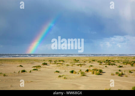 Dusche und Regenbogen über der Nordsee und der weiten Sandebene im Osten der Insel Langeoog. Stockfoto