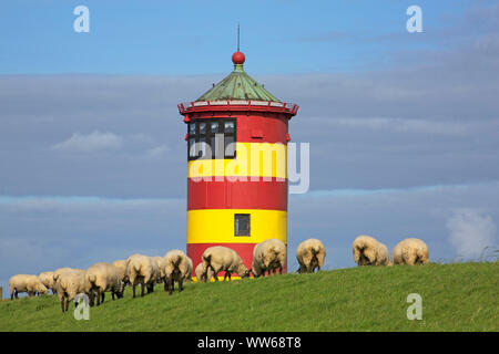 Schafe auf dem Deich vor dem Pilsumer Leuchtturm in der Ostfriesischen Landschaft Krummhoern. Stockfoto