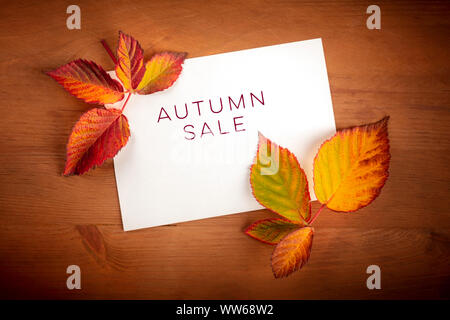 Herbst Verkauf. Rabatt Banner oder Flyer Design Template mit lebendigen Herbst Blätter auf einer Karte mit einem Platz für Text und Logo Stockfoto