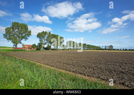 Avenue auf abgeernteten Feldern in der Ostfriesischen Krummhoern in der Nähe von rysum. Stockfoto