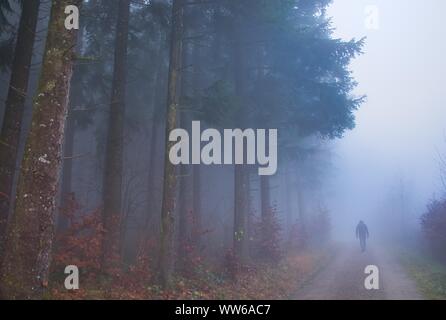 Ansicht von hinten von einem Mann zu Fuß über einen Fußweg im Nebel, Schweiz Stockfoto