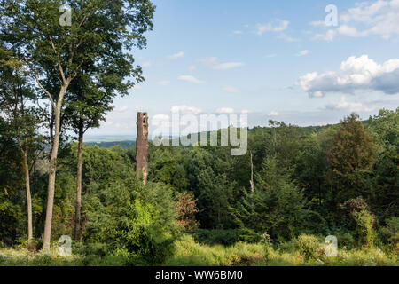 Schöne Poconos Vista im Sommer, North Eastern Pennsylvania Stockfoto