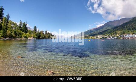 Enten auf kristallklaren See, umgeben von Bäumen und der Stadt Queenstown in Neuseeland umgeben Stockfoto