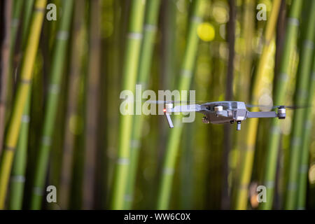 Drone in Bambus Plantage, Grüner Bambus zaun Textur Hintergrund, Bambus Textur Stockfoto