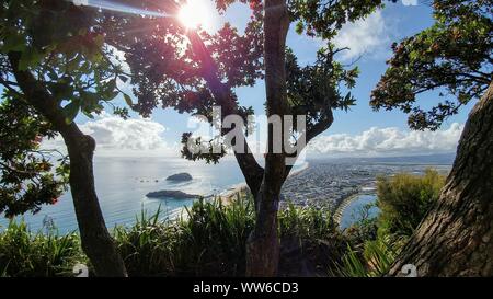 Blick durch die Bäume auf der Halbinsel von Mount Maunganui in Tauranga, Neuseeland Stockfoto