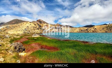 Blue Lake in Vulkankrater mit grünen und roten Gras, Tongariro Crossing in Neuseeland Stockfoto