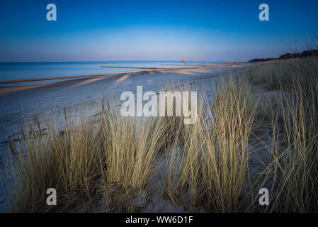 Ostsee mit goldgelben Strand Gras in der Sonne, im Winter an der Ostsee und Gräser am Strand Stockfoto