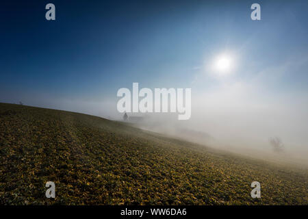 Sunrise und reflektierenden farbigen Wolken, Rising Sun mit austretende Nebel Stockfoto