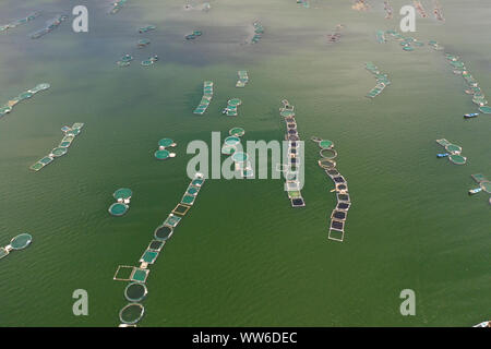 Fischzucht mit Käfigen für Fische und Garnelen auf dem See Taal, Ansicht von oben. Fisch Käfig für Tilapia, milchfisch Landwirtschaft Aquakultur oder Fischzucht Praktiken. Philippinen, Luzon. Stockfoto