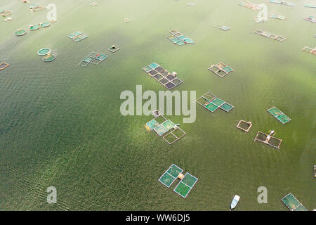 Fischzucht mit Käfigen für Fische und Garnelen auf dem See Taal, Ansicht von oben. Fisch Käfig für Tilapia, milchfisch Landwirtschaft Aquakultur oder Fischzucht Praktiken. Philippinen, Luzon. Stockfoto