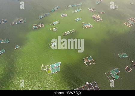 Fischzucht mit Käfigen für Fische und Garnelen auf dem See Taal, Ansicht von oben. Fisch Käfig für Tilapia, milchfisch Landwirtschaft Aquakultur oder Fischzucht Praktiken. Philippinen, Luzon. Stockfoto