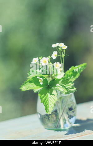 Kleine Duft der blühenden wilden Erdbeeren im Glas Stockfoto