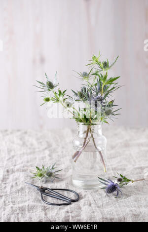 Noch immer leben Blaue Distel Zweigniederlassungen, die in einem einfachen Glas Vase auf einem hellen Leinen Stockfoto