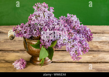 Der Frühling noch leben, Flieder, Blumenschmuck Stockfoto