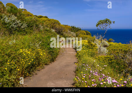 Italien, Sizilien, Liparische Inseln, Stromboli, Wanderweg zur Sciara del Fuoco Stockfoto