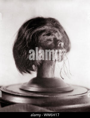 1940 Anthropologie geschrumpften indischen menschlichen Kopf auf einem Sockel von Amazonas Regenwald SÜDAMERIKA-s 3596 PRC001 HARS ZANY UNKONVENTIONELLE IN DER AUSFÜHRUNG NOCH LEBEN JENSEITS SOCKEL WACKY DOMINANZ IDIOSYNKRATISCHE ANTHROPOLOGIE MENSCHLICHEN KOPF KANNIBALISMUS EXZENTRISCHE FEINDE RITUAL SCHWARZ UND WEISS ALTMODISCHE EMPÖREND Stockfoto