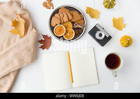 Notebook, heiße Schokolade, Kamera und Blätter im Herbst Stockfoto