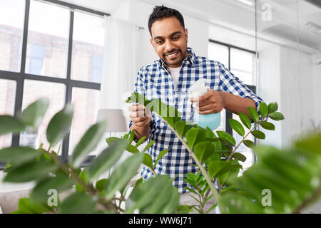 Mann spritzen Zimmerpflanze mit Wasser zu Hause Stockfoto