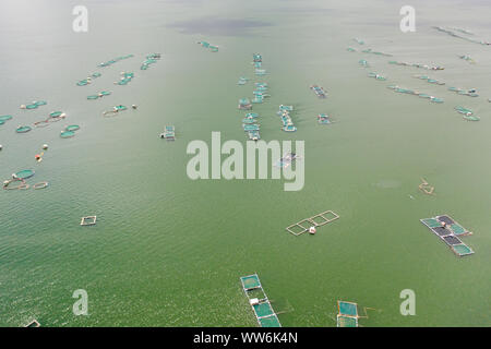 Fischzucht mit Käfigen für Fische und Garnelen auf dem See Taal, Ansicht von oben. Fisch Käfig für Tilapia, milchfisch Landwirtschaft Aquakultur oder Fischzucht Praktiken. Philippinen, Luzon. Stockfoto