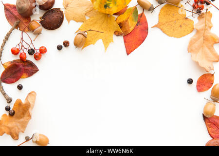 Herbst Blätter, Kastanien, Eicheln und Beeren frame Stockfoto