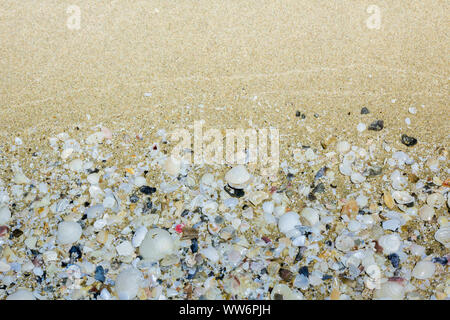 Shell und Sand strand Verwendung als Hintergrundbild. Stockfoto