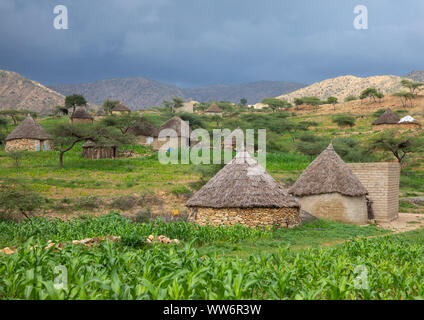 Bilen Dorf mit reetgedeckten Hütten, Semien-Keih-Bahri, Elabered, Eritrea Stockfoto