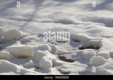 Frische Schneedecke im Sonnenlicht, Gegenlicht der Sonne Stockfoto