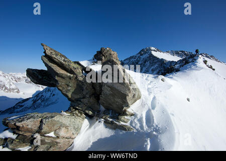 Bergsteiger auf Aufstieg zur ruderhofspitze, Stubaier Alpen, Tirol, Österreich Stockfoto