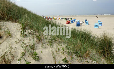 Dünen am Strand, Insel Langeoog, Ostfriesische Inseln, Niedersachsen, Deutschland Stockfoto